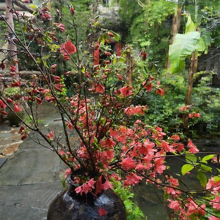 Wuyuan Qiye Yanxiang Guesthouse Εξωτερικό φωτογραφία