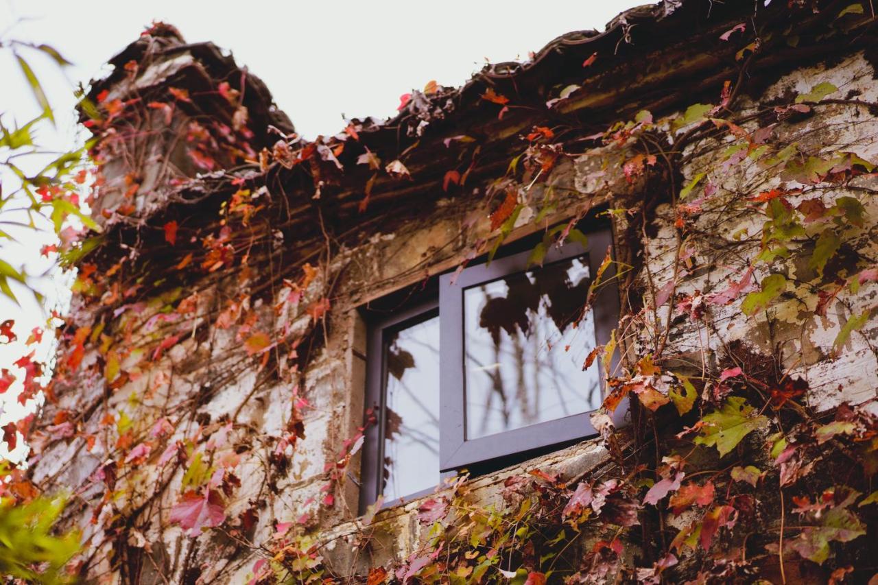Wuyuan Qiye Yanxiang Guesthouse Εξωτερικό φωτογραφία